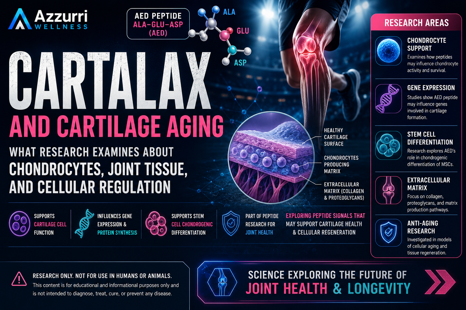 Cartalax and Cartilage Aging: What Research Examines About Chondrocytes, Joint Tissue, and Cellular Regulation