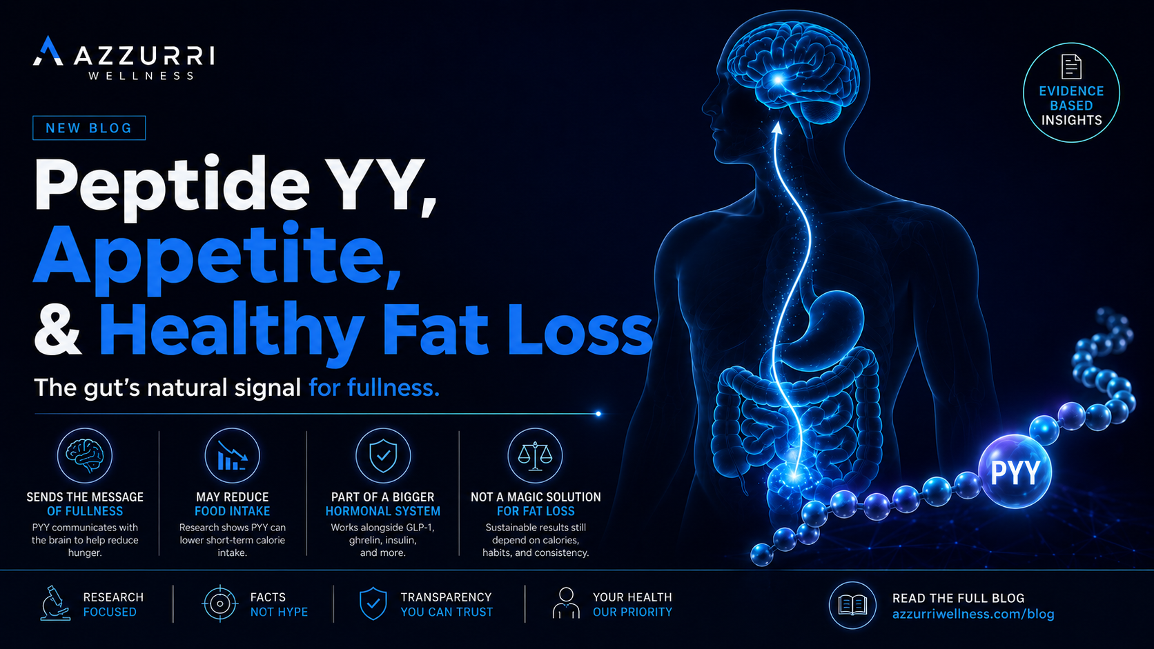 Peptide YY, Appetite, and Healthy Fat Loss