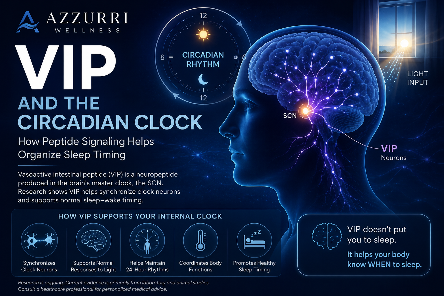 VIP and the Circadian Clock—How Peptide Signaling Helps Organize Sleep Timing
