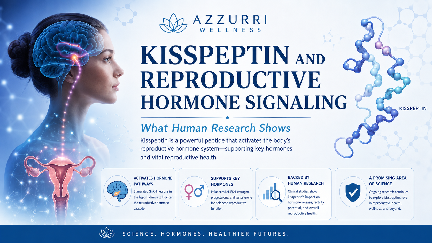 Kisspeptin and Reproductive Hormone Signaling—What Human Research Shows