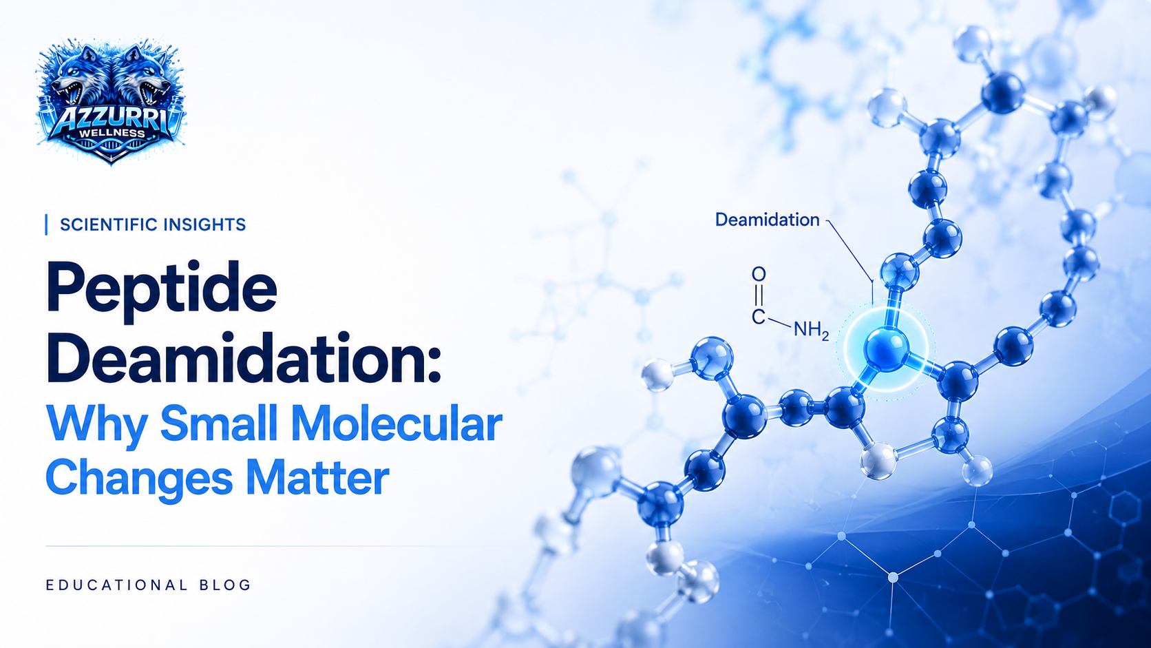 Peptide Deamidation: Why Small Molecular Changes Matter