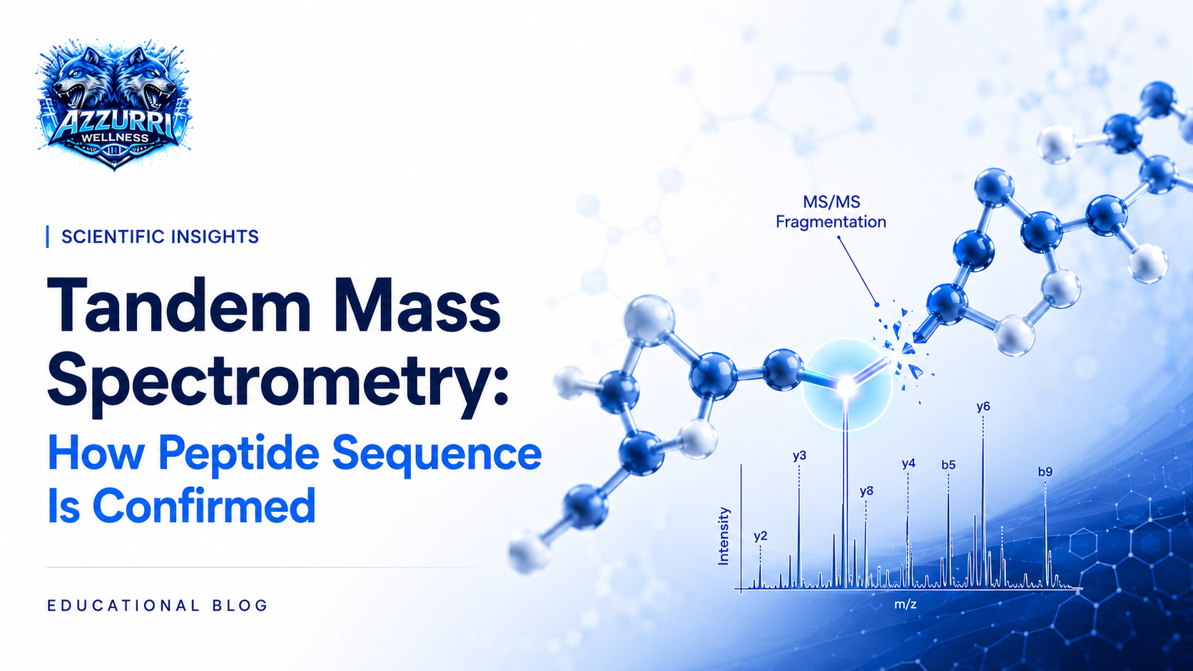 Tandem Mass Spectrometry: How Peptide Sequence Is Confirmed