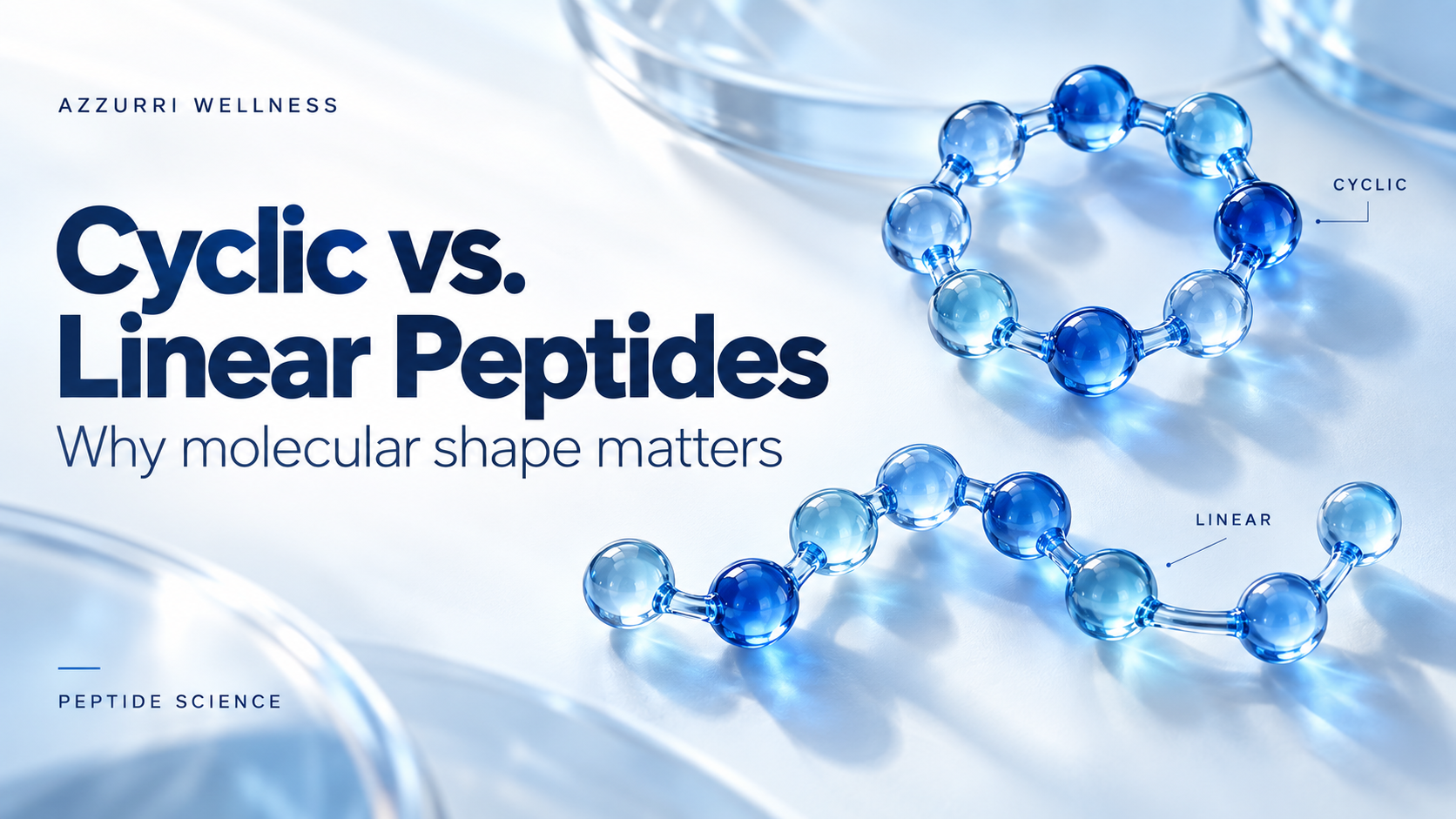 Cyclic vs. Linear Peptides: Structure and Stability